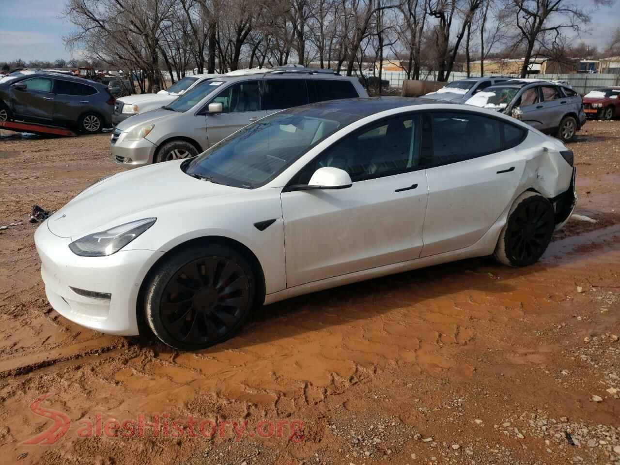 2022 TESLA MODEL 3 — VIN 5YJ3E1ECXNF130447
