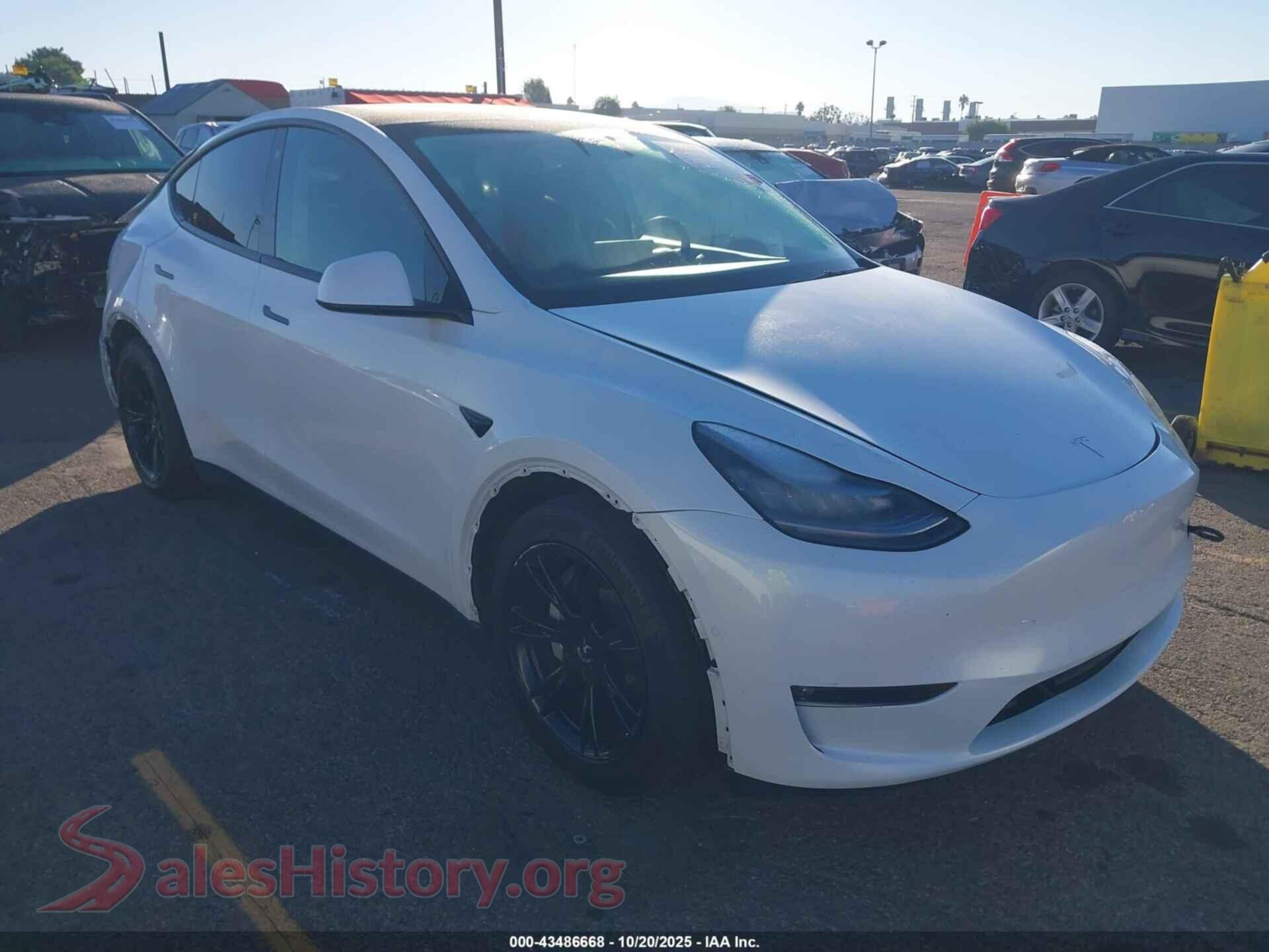 2021 TESLA MODEL Y — VIN 5YJYGAEE7MF159534