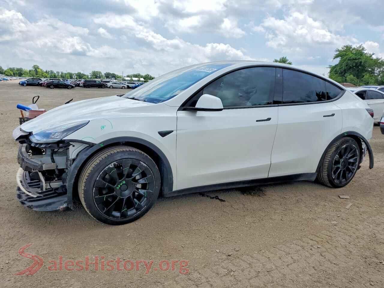 2021 TESLA MODEL Y — VIN 5YJYGDED3MF114146