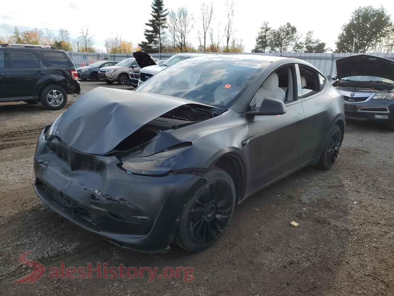 2021 TESLA MODEL Y — VIN 5YJYGDED8MF124655