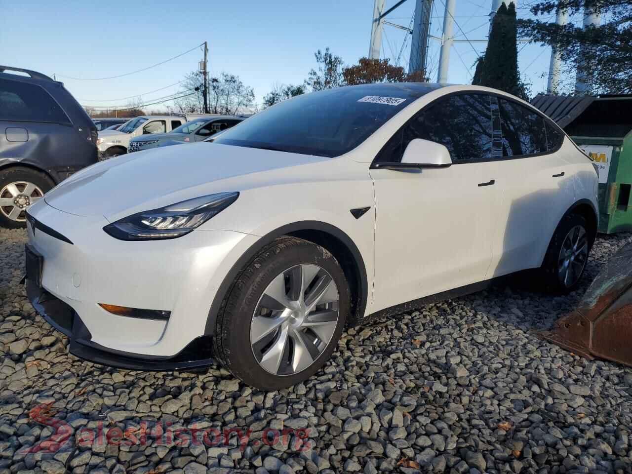2021 TESLA MODEL Y — VIN 5YJYGDEE0MF185913