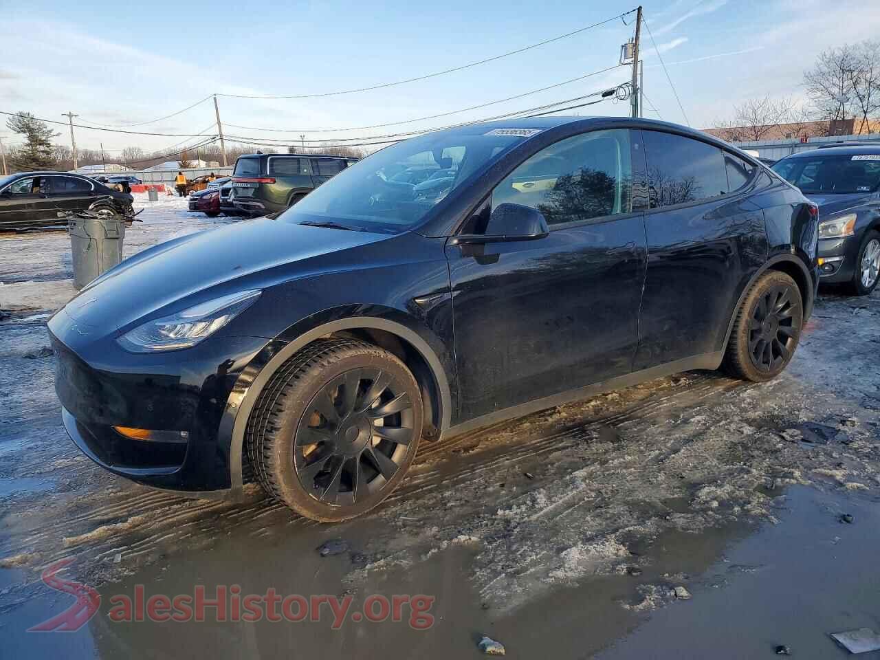 2021 TESLA MODEL Y — VIN 5YJYGDEE0MF209210
