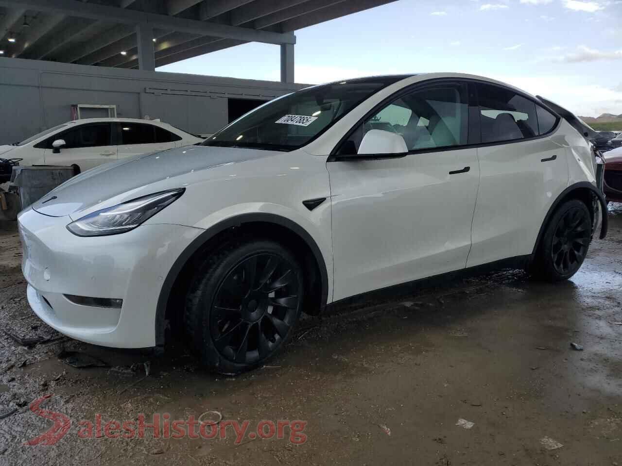 2021 TESLA MODEL Y — VIN 5YJYGDEE2MF161905