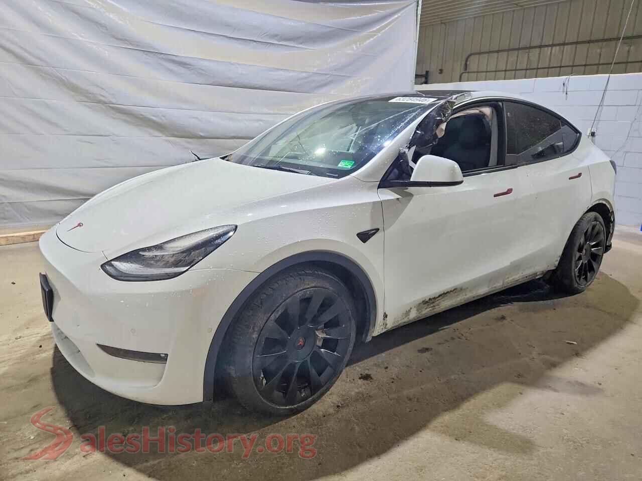 2021 TESLA MODEL Y — VIN 5YJYGDEE2MF191017