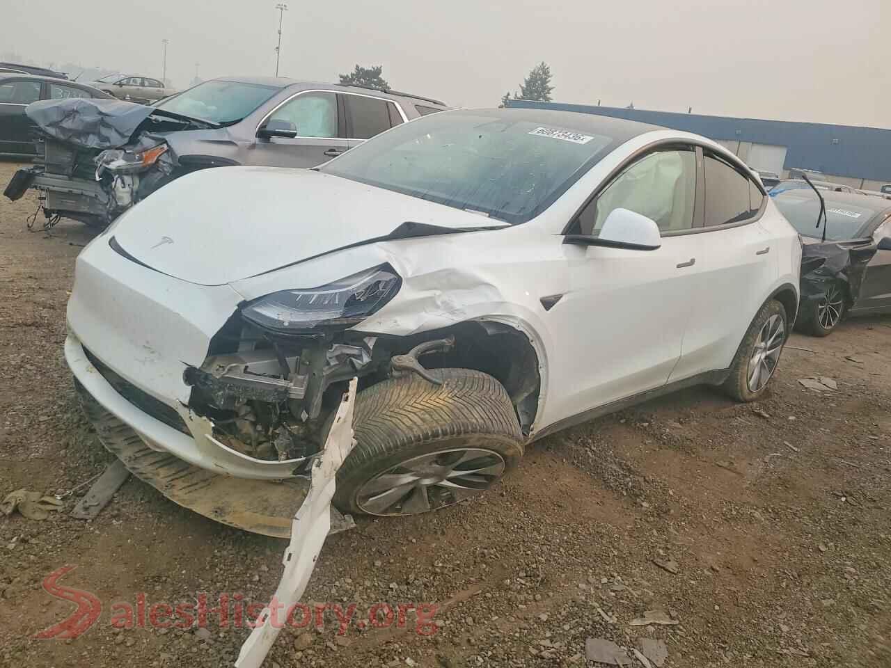 2021 TESLA MODEL Y — VIN 5YJYGDEE3MF109201