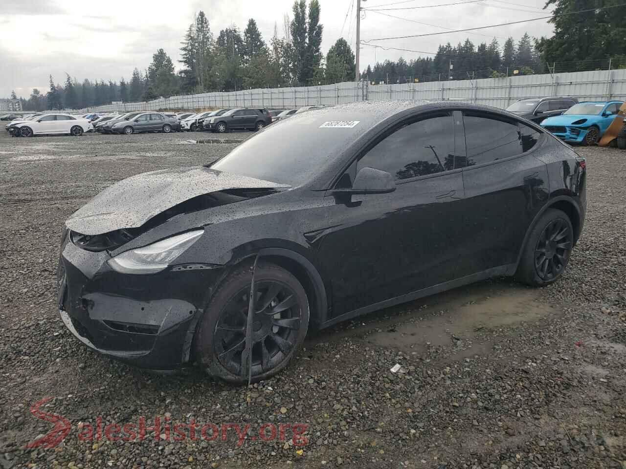 2020 TESLA MODEL Y — VIN 5YJYGDEE4LF052716