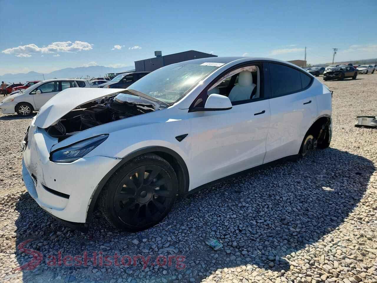 2021 TESLA MODEL Y — VIN 5YJYGDEE7MF074176