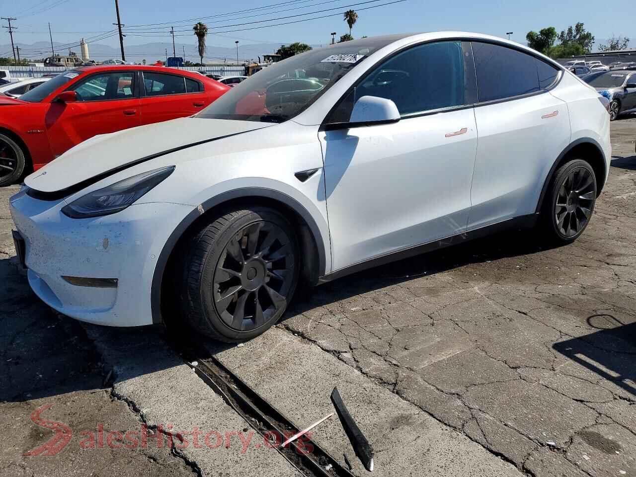 2021 TESLA MODEL Y — VIN 5YJYGDEE9MF102236