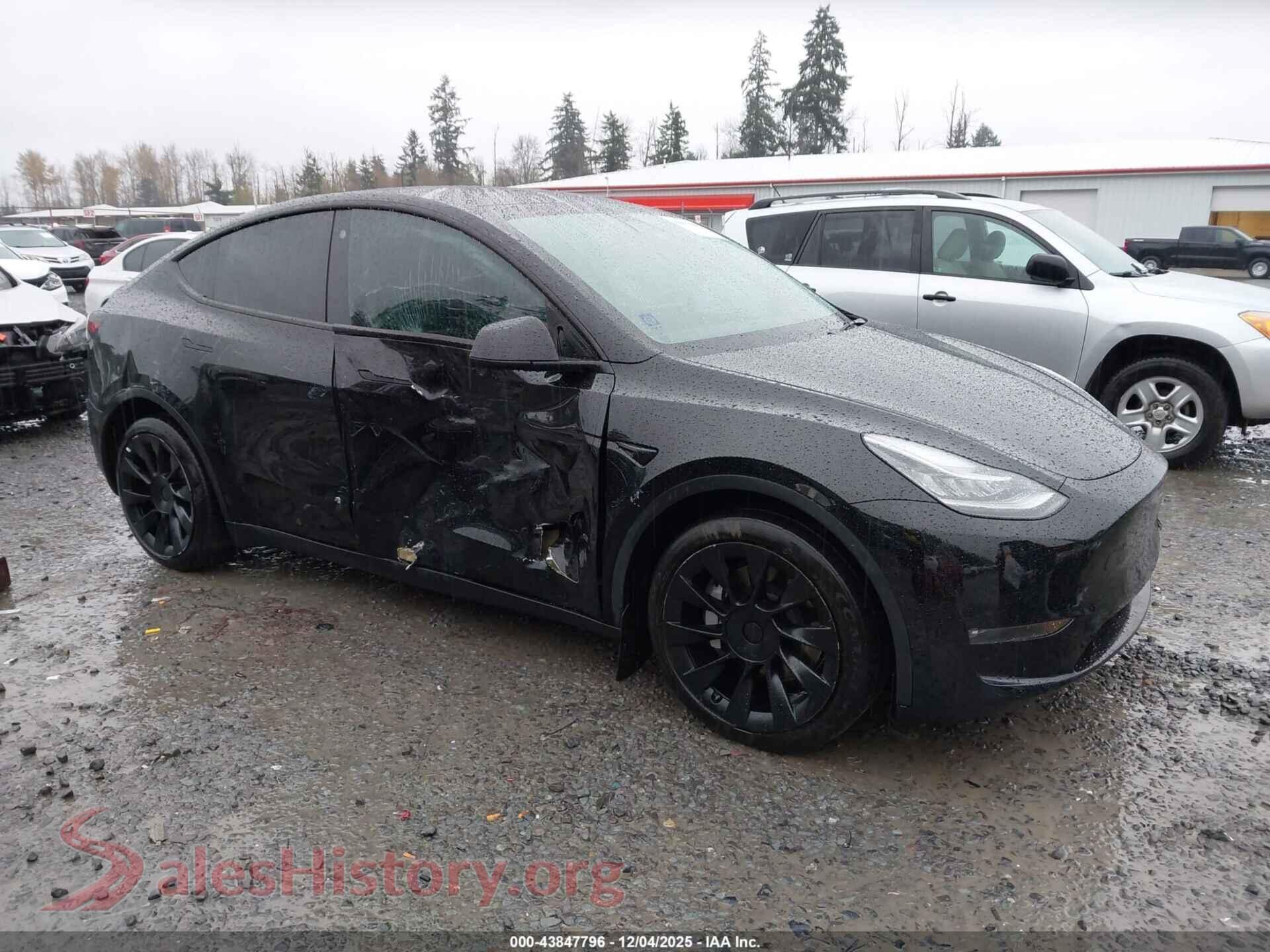 2021 TESLA MODEL Y — VIN 5YJYGDEEXMF302056