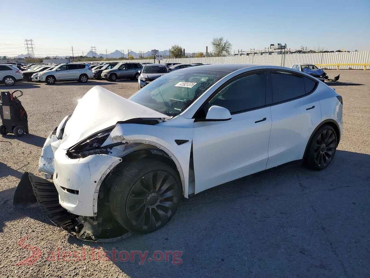 2021 TESLA MODEL Y — VIN 5YJYGDEF4MF202088