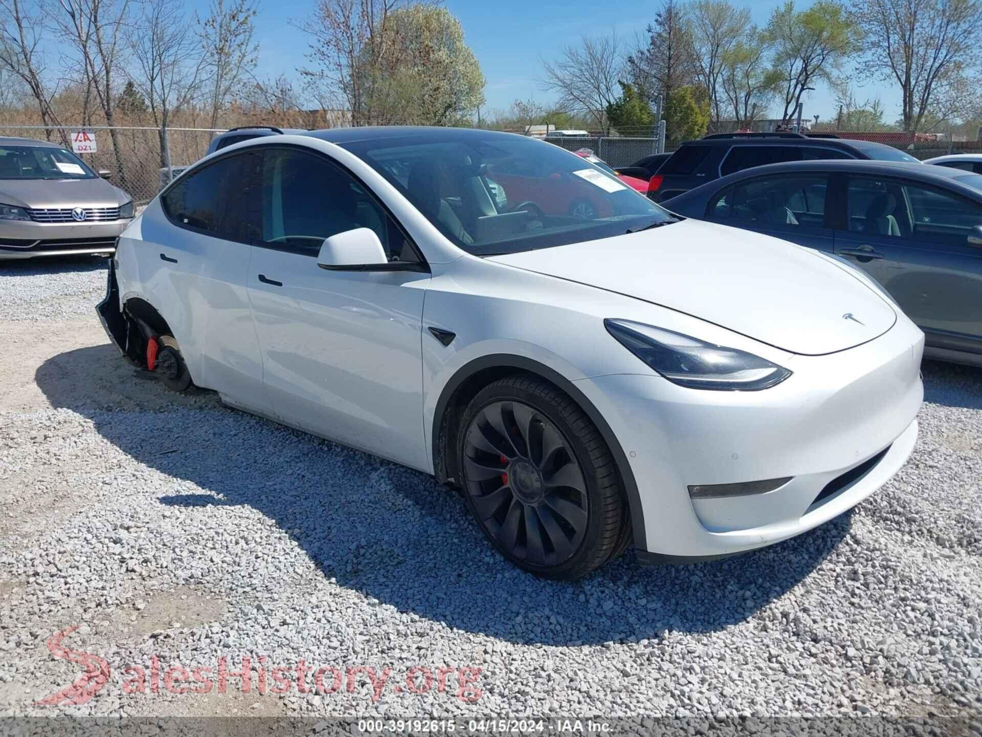 2021 TESLA MODEL Y — VIN 5YJYGDEF7MF211819