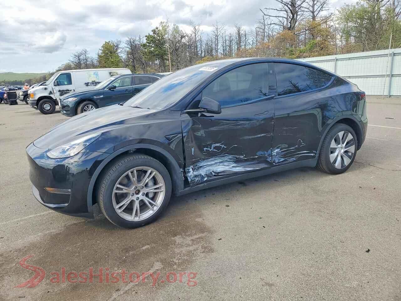 2024 TESLA MODEL Y — VIN 7SAYGAEE4RF009102