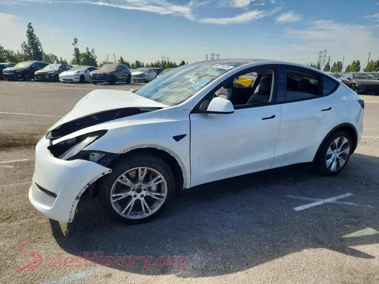 2024 TESLA MODEL Y — VIN 7SAYGAEE5RF059930