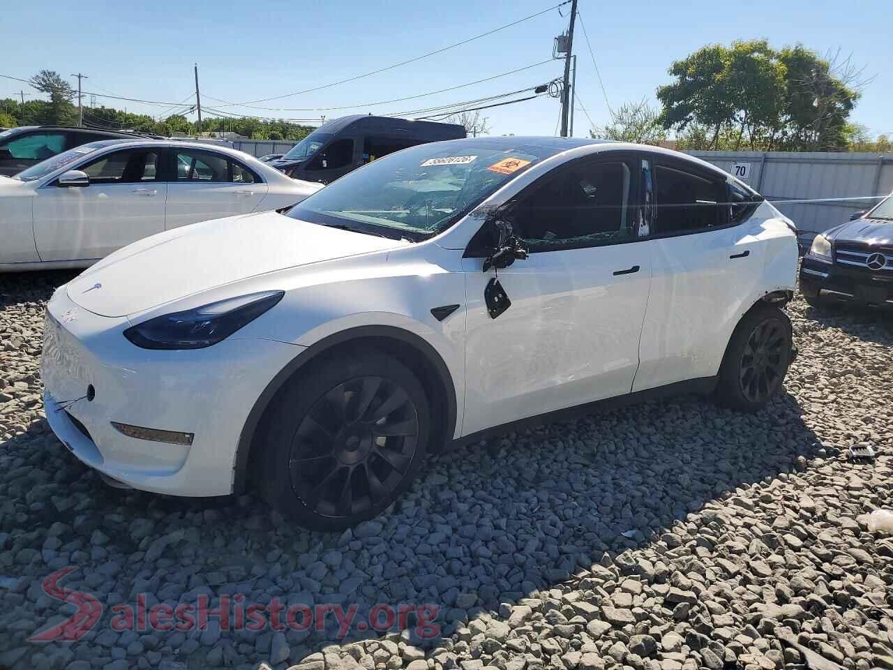 2023 TESLA MODEL Y — VIN 7SAYGAEE6PF667291