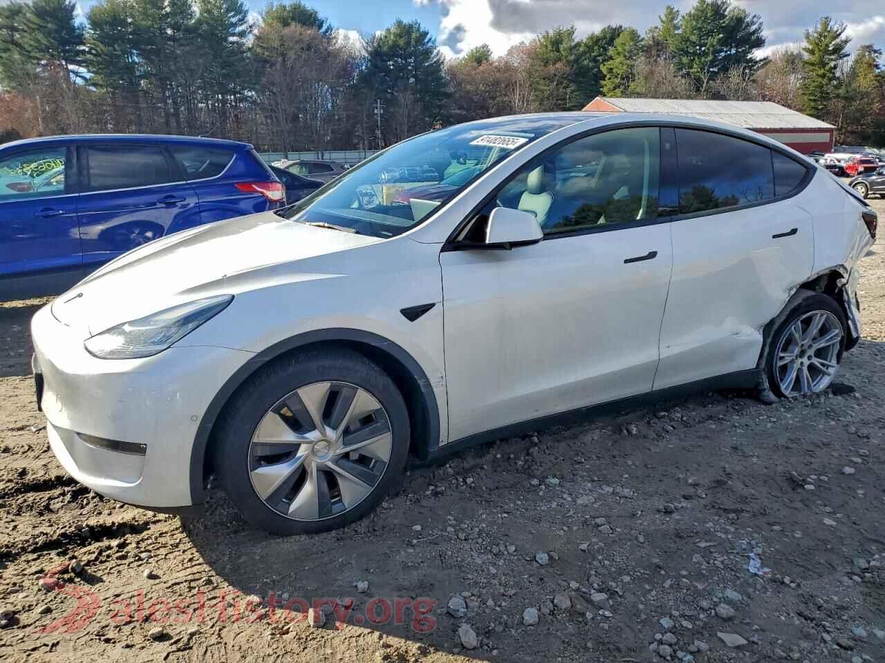 2022 TESLA MODEL Y — VIN 7SAYGAEE7NF383438