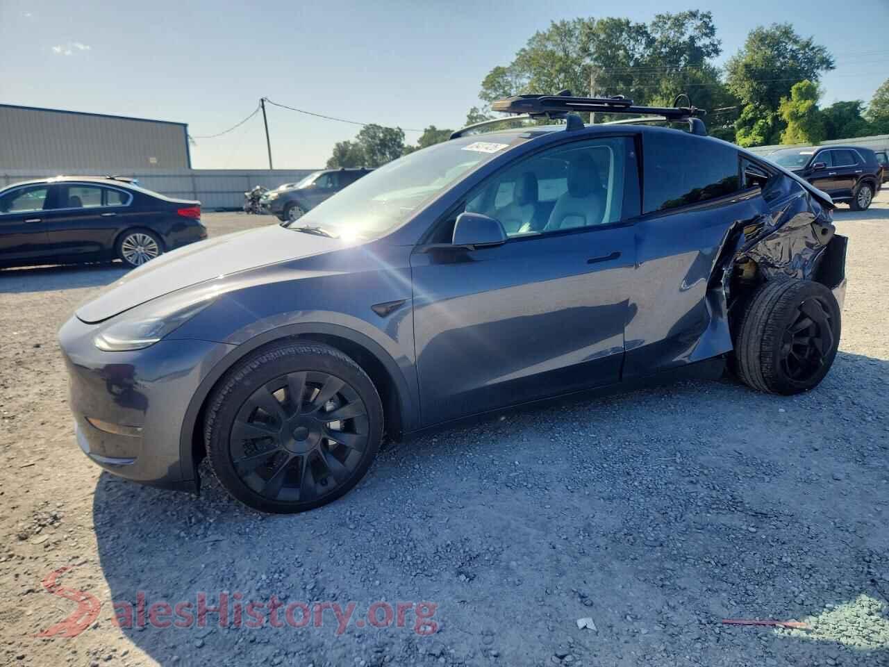2023 TESLA MODEL Y — VIN 7SAYGAEE7PF781557