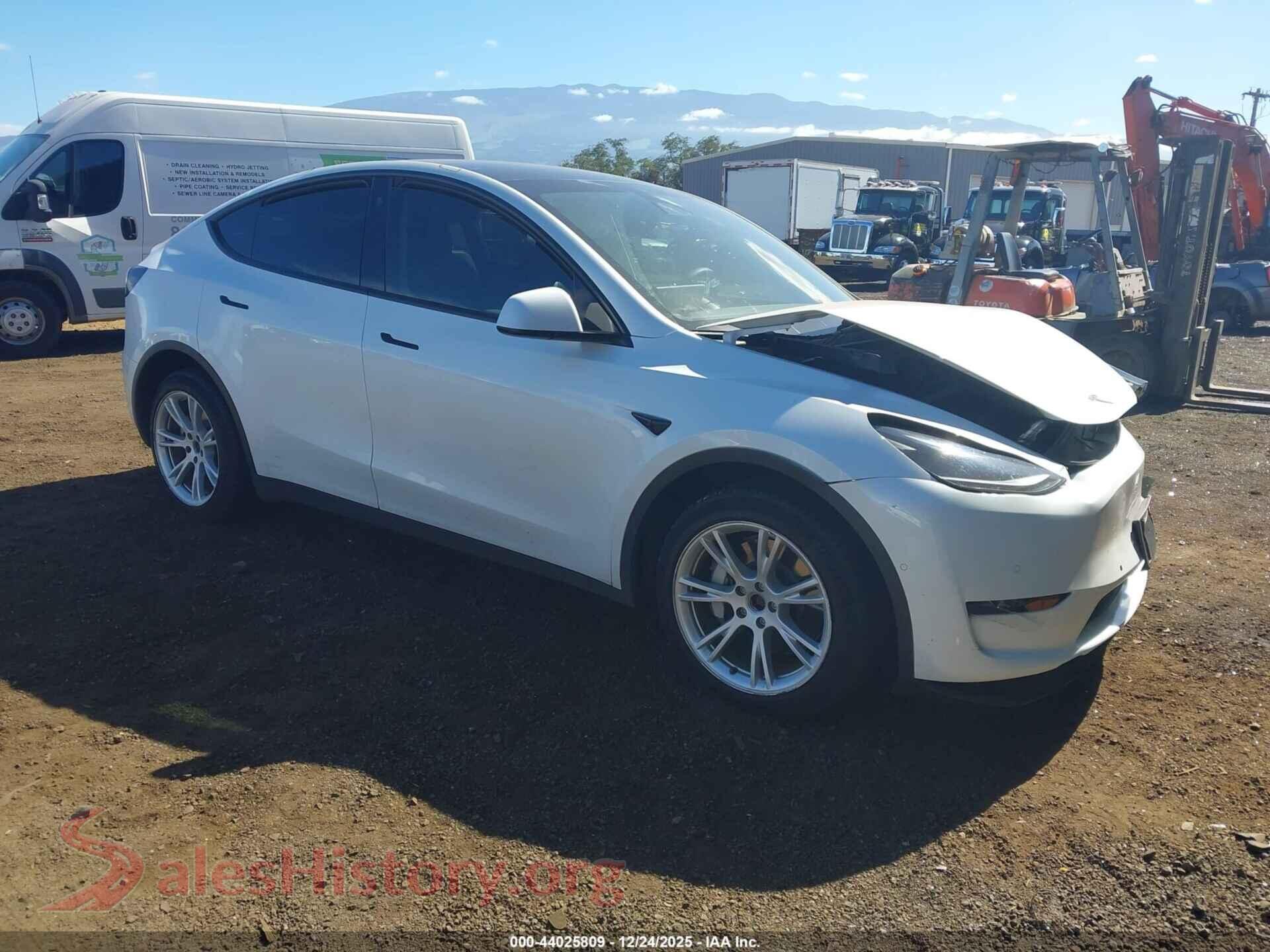 2022 TESLA MODEL Y — VIN 7SAYGAEE8NF540779