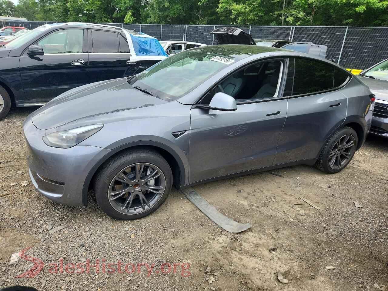 2024 TESLA MODEL Y — VIN 7SAYGDED0RF201058
