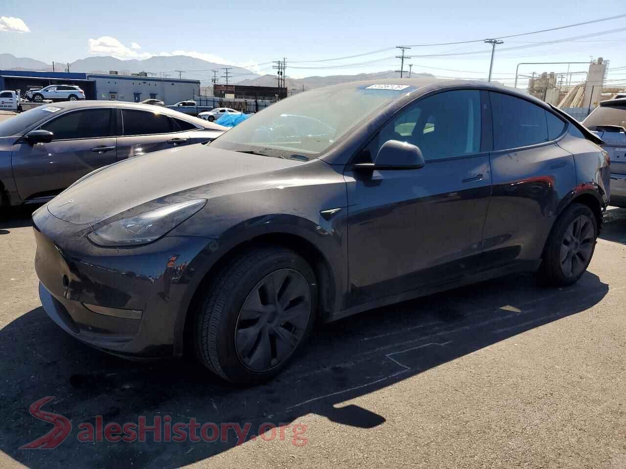 2024 TESLA MODEL Y — VIN 7SAYGDED1RF097907