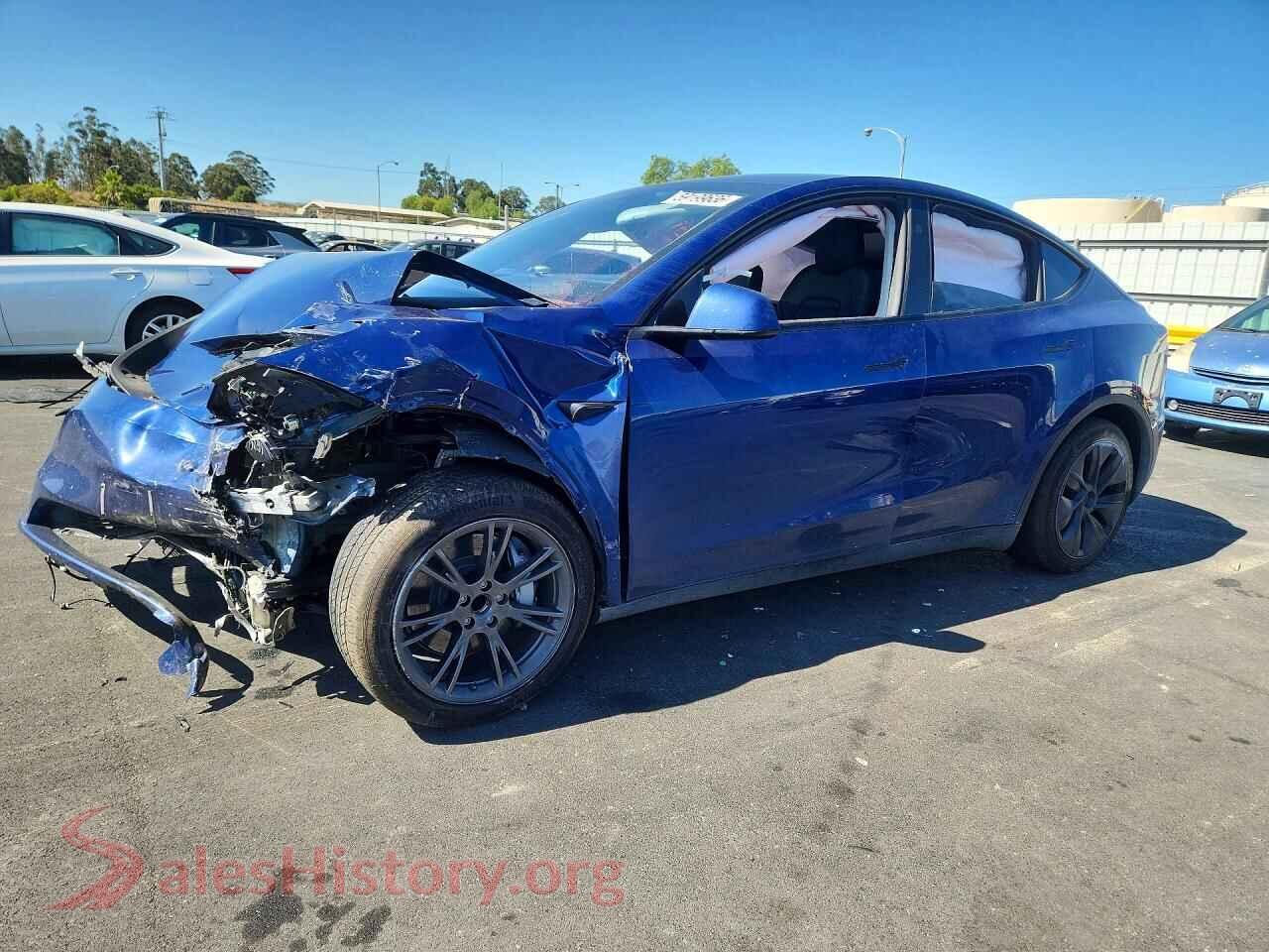 2024 TESLA MODEL Y — VIN 7SAYGDED1RF212151