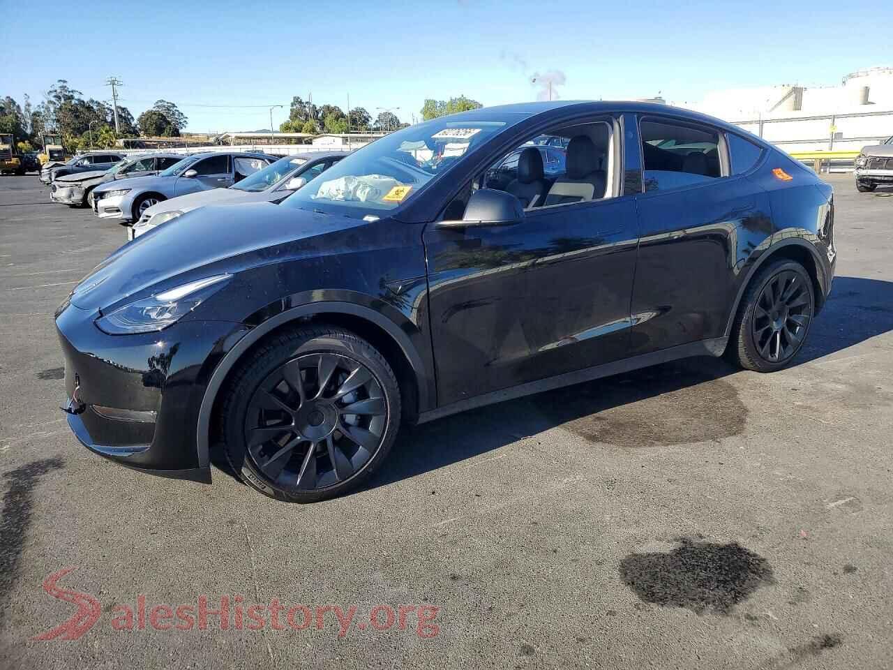 2024 TESLA MODEL Y — VIN 7SAYGDED3RF052693