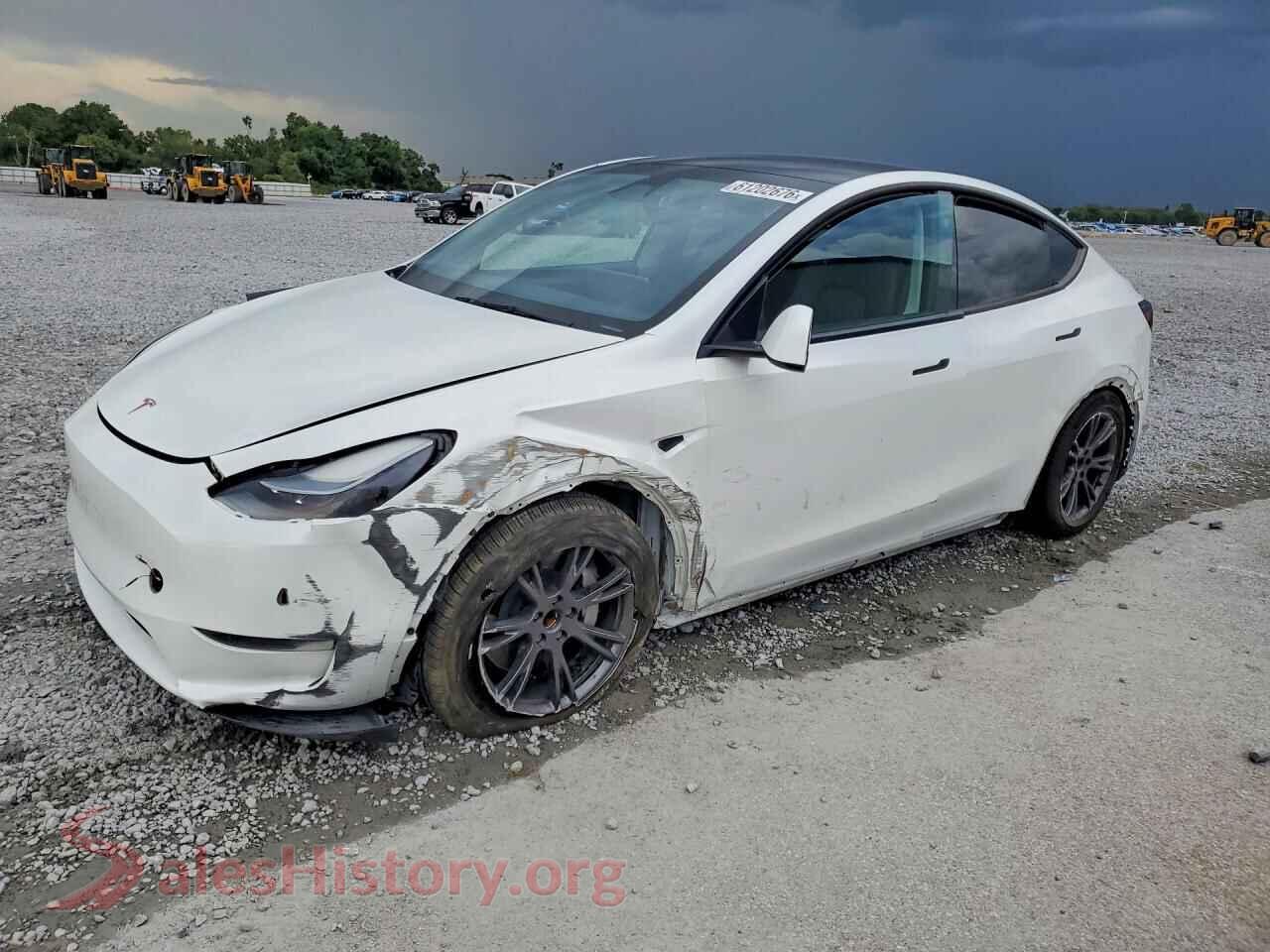 2024 TESLA MODEL Y — VIN 7SAYGDED6RA326191
