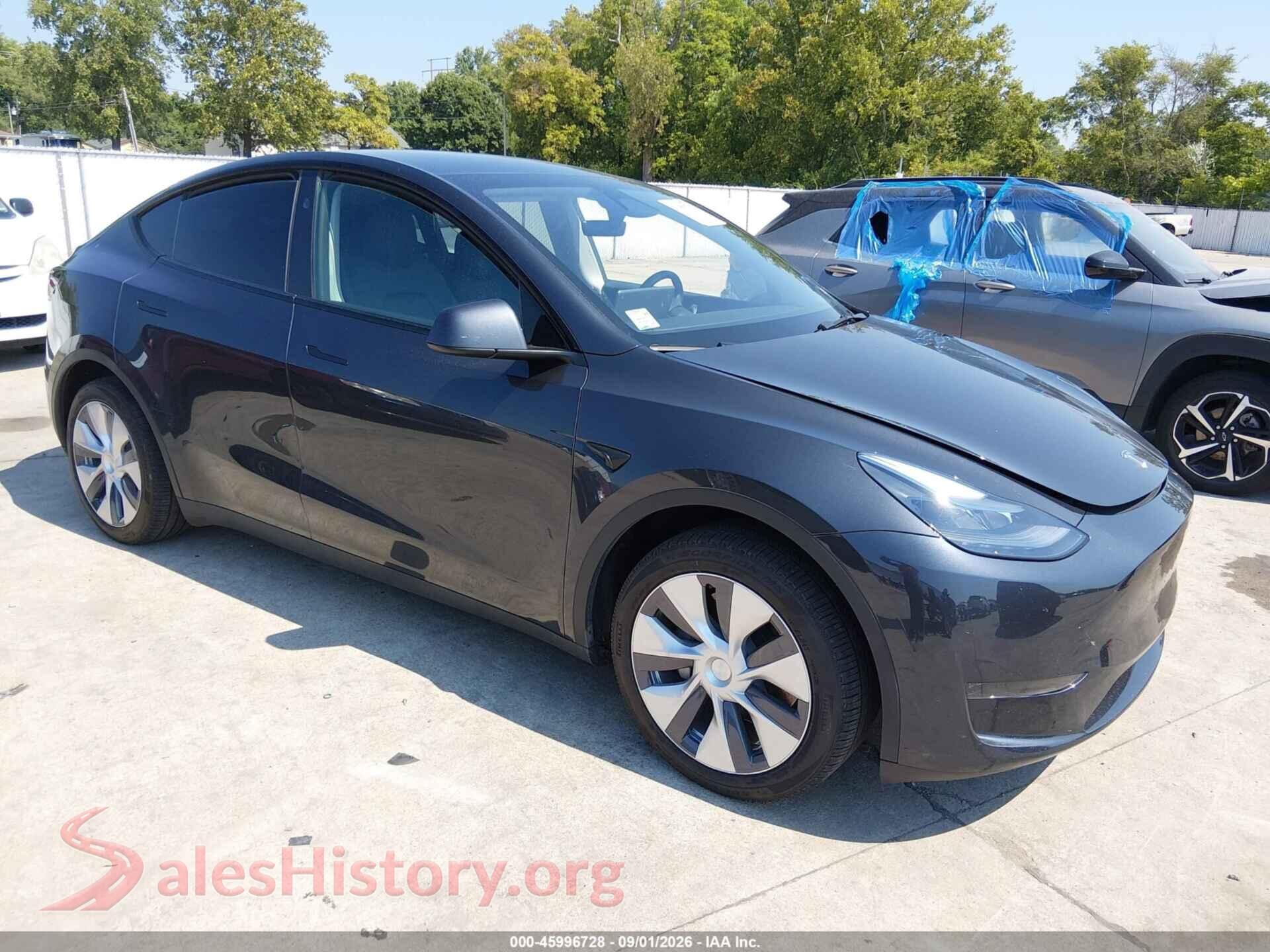 2024 TESLA MODEL Y — VIN 7SAYGDED9RF017916
