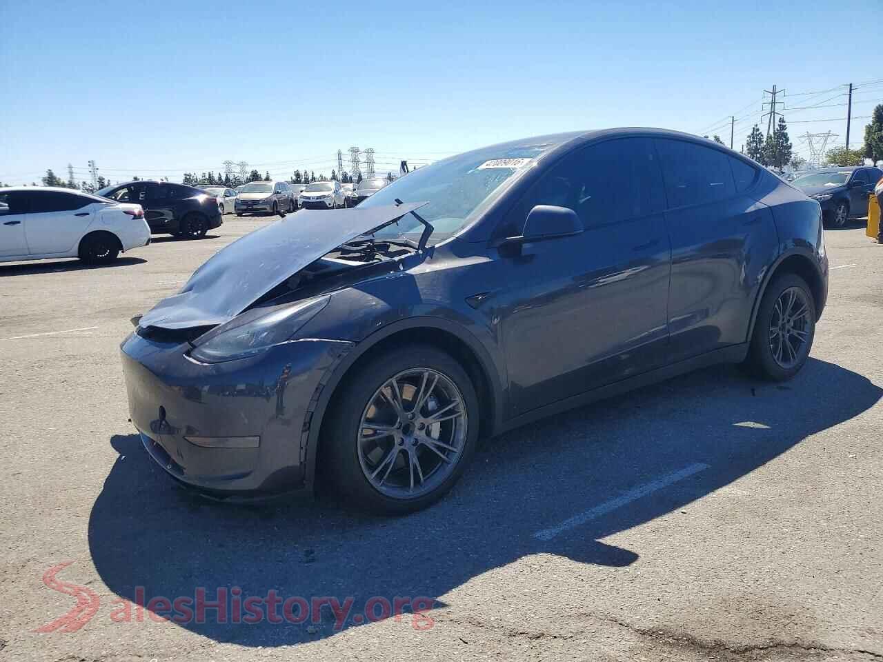 2024 TESLA MODEL Y — VIN 7SAYGDED9RF200085