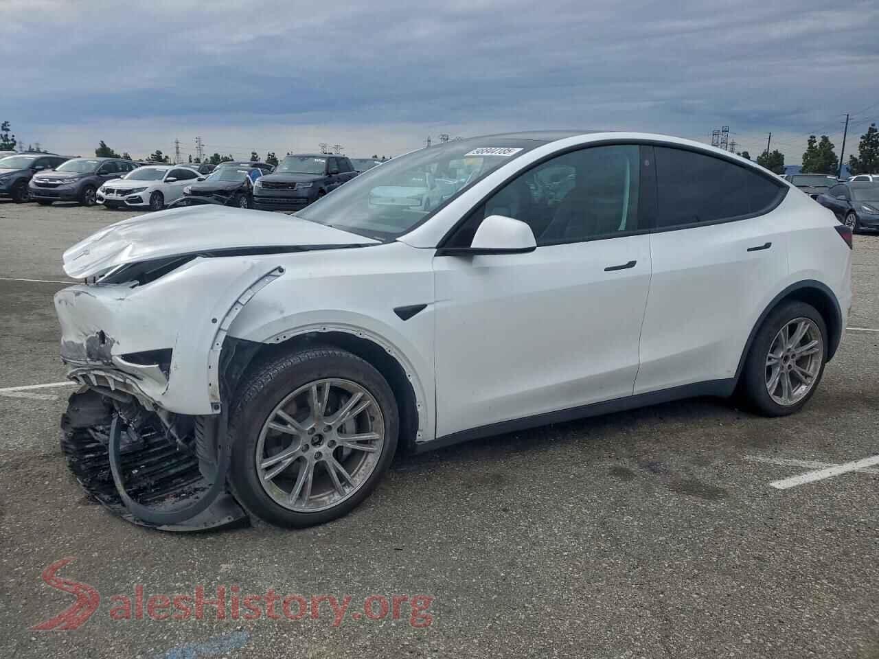 2022 TESLA MODEL Y — VIN 7SAYGDEE0NA021871