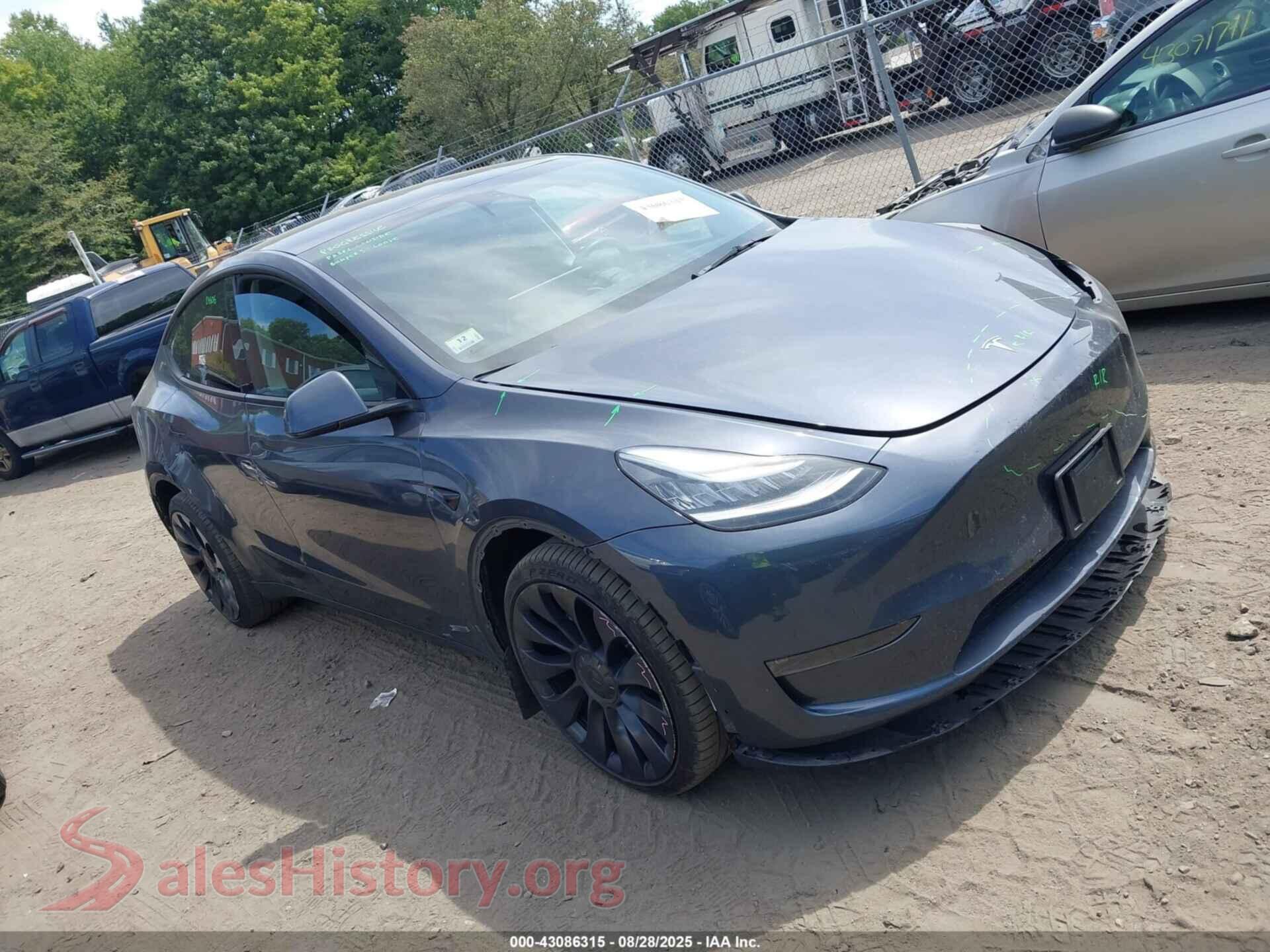 2023 TESLA MODEL Y — VIN 7SAYGDEE0PA056378
