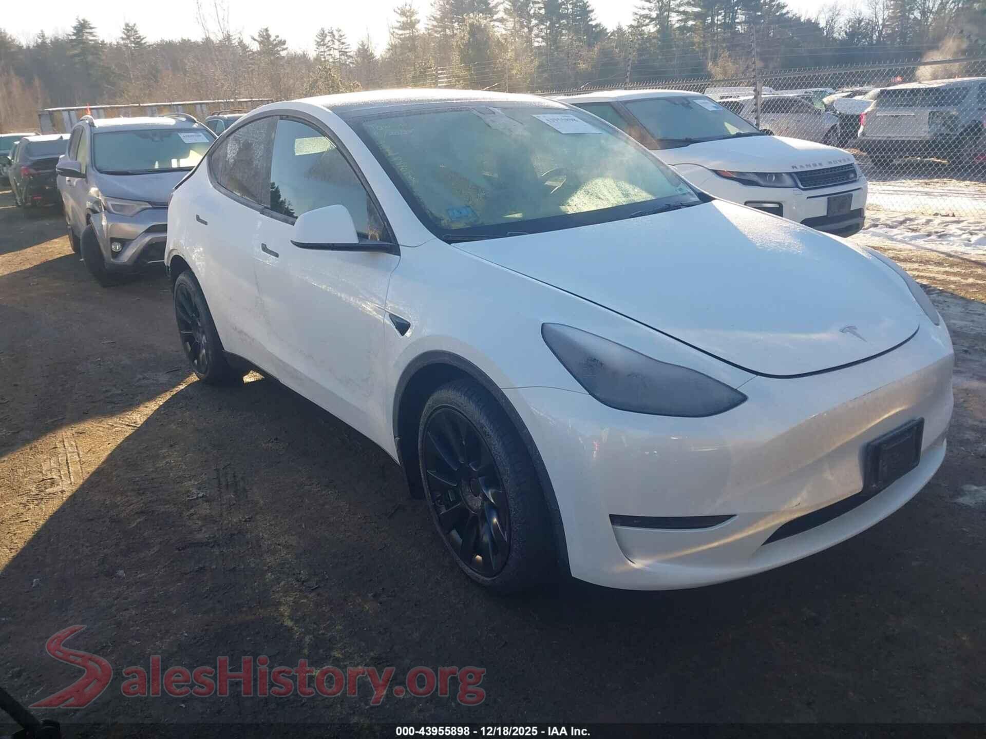2023 TESLA MODEL Y — VIN 7SAYGDEE0PF767856