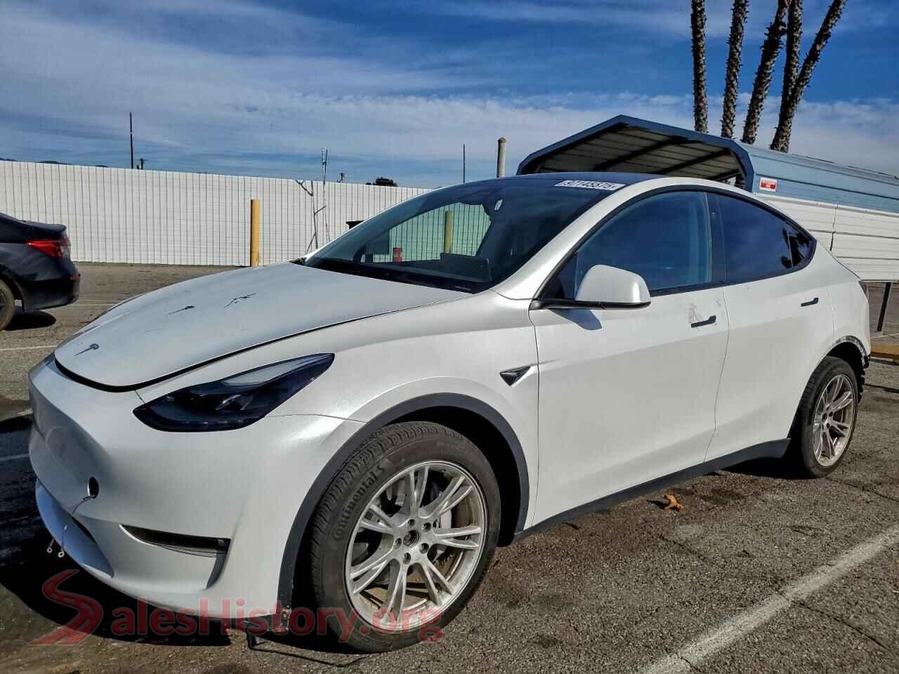 2023 TESLA MODEL Y — VIN 7SAYGDEE0PF865656