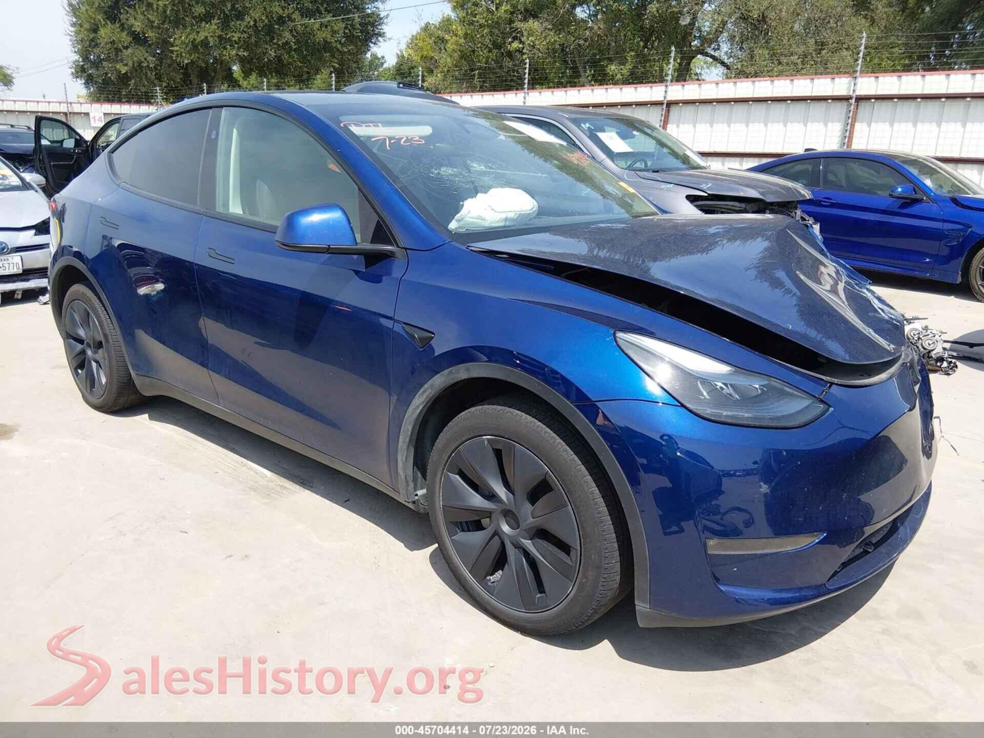2024 TESLA MODEL Y — VIN 7SAYGDEE0RA313168