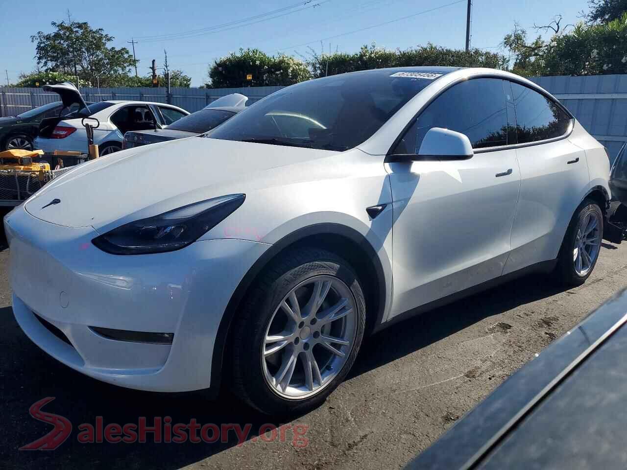 2024 TESLA MODEL Y — VIN 7SAYGDEE0RF066981
