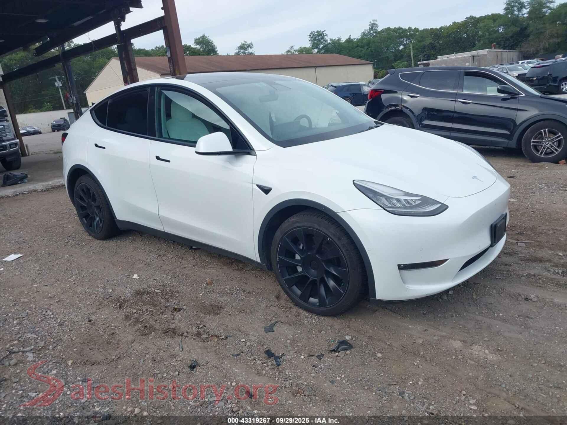 2022 TESLA MODEL Y — VIN 7SAYGDEE1NF329599