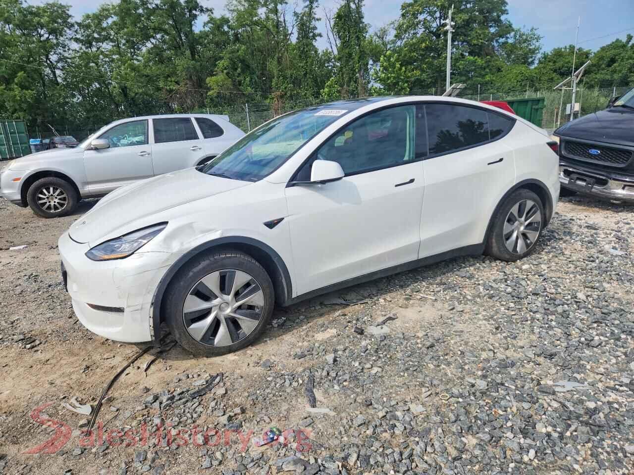 2022 TESLA MODEL Y — VIN 7SAYGDEE1NF331501