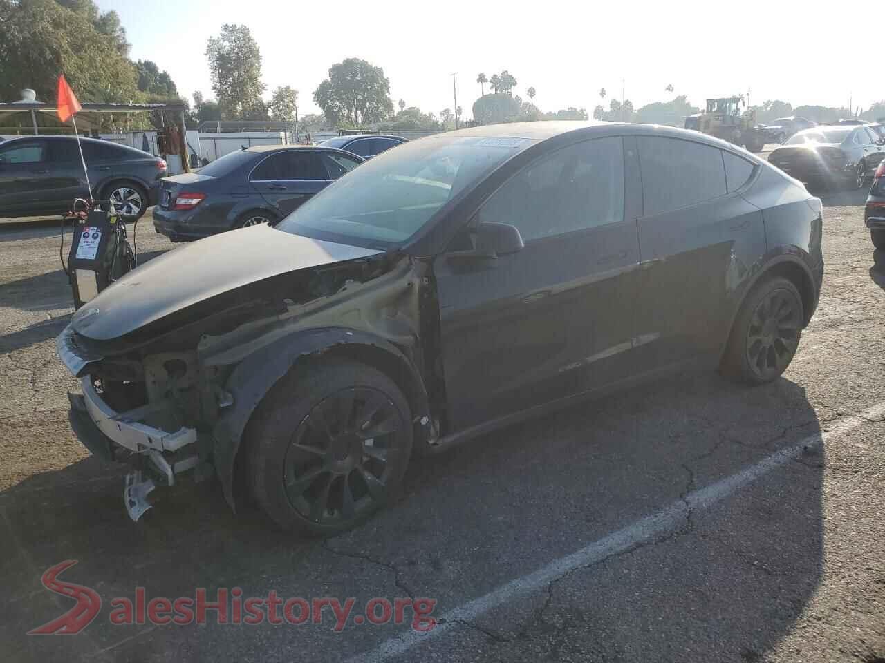 2023 TESLA MODEL Y — VIN 7SAYGDEE1PA027939