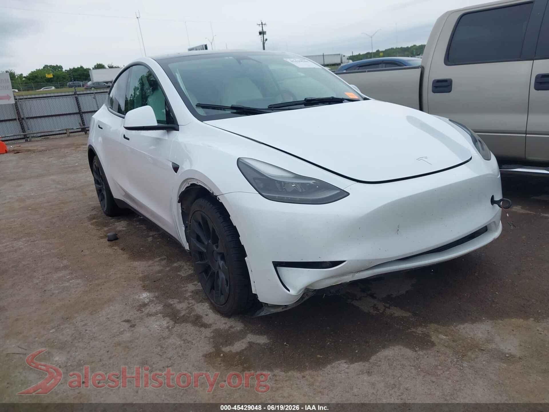 2024 TESLA MODEL Y — VIN 7SAYGDEE1RA259752