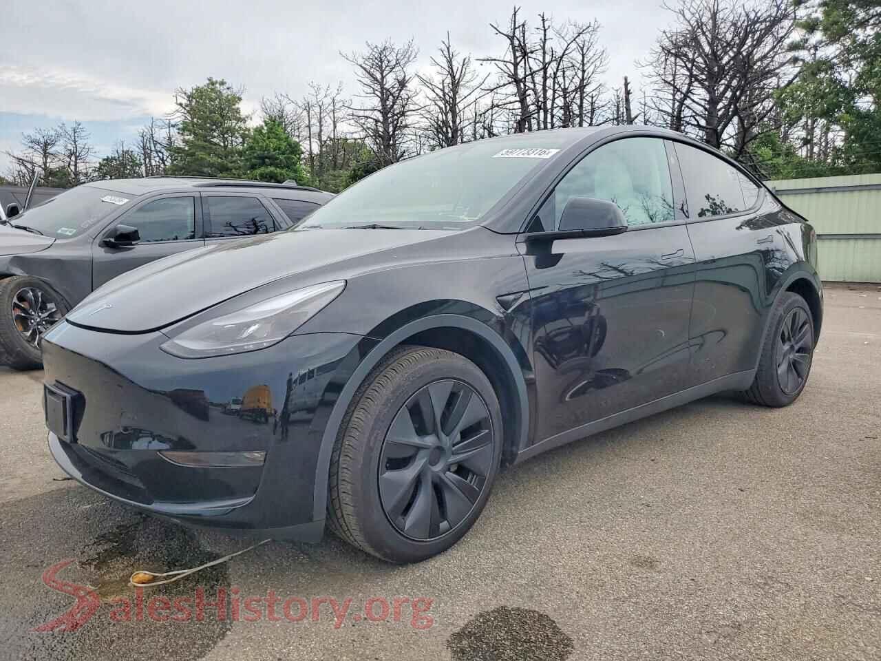 2025 TESLA MODEL Y — VIN 7SAYGDEE1SF297118