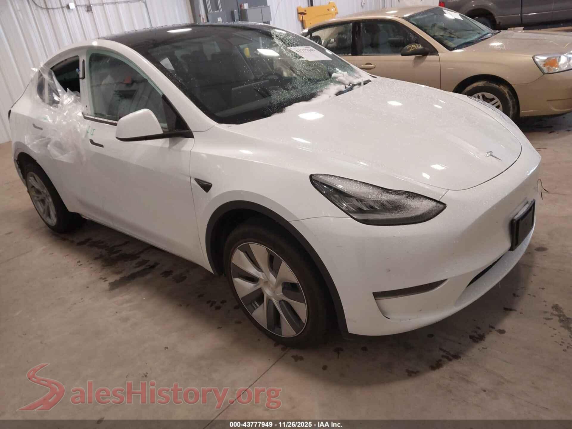 2023 TESLA MODEL Y — VIN 7SAYGDEE2PA041509