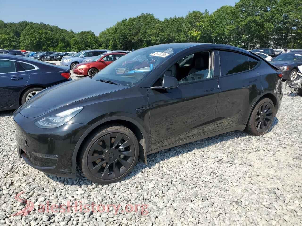 2023 TESLA MODEL Y — VIN 7SAYGDEE2PA060139