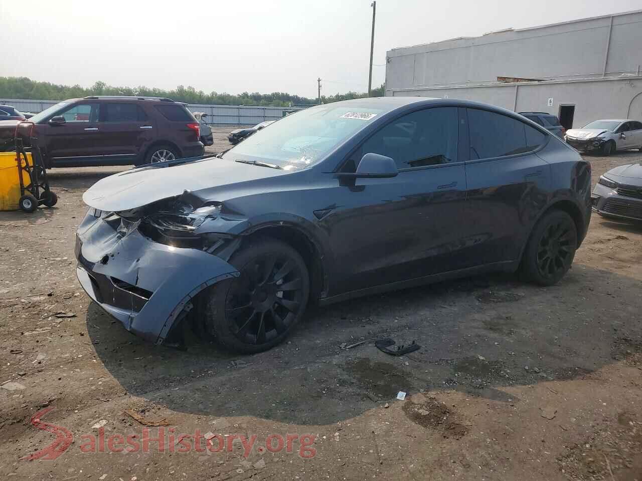 2024 TESLA MODEL Y — VIN 7SAYGDEE2RF036655