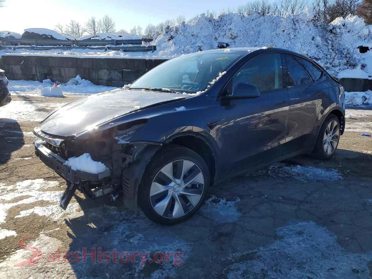 2023 TESLA MODEL Y — VIN 7SAYGDEE3PF610693