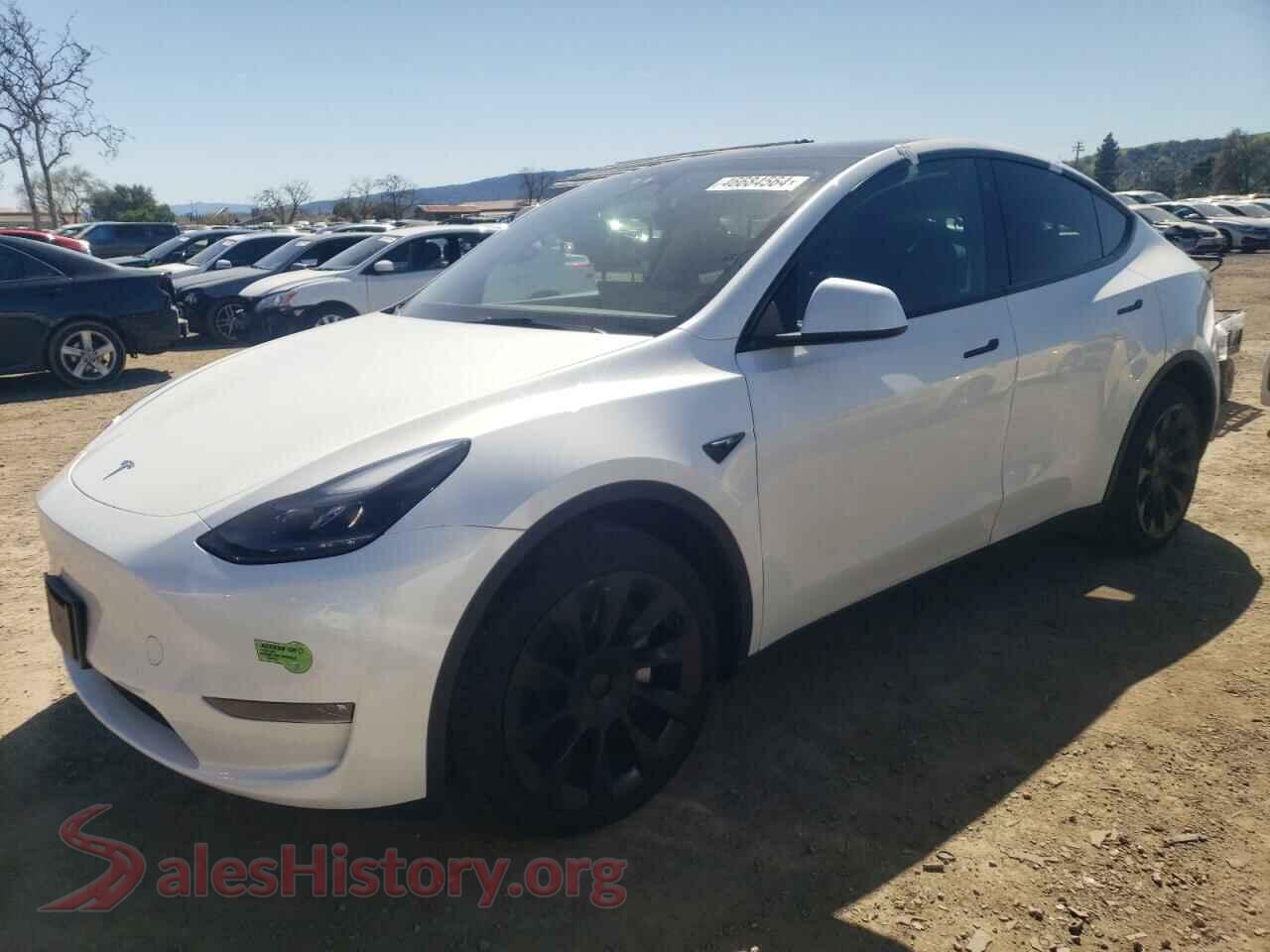 2023 TESLA MODEL Y — VIN 7SAYGDEE3PF748735