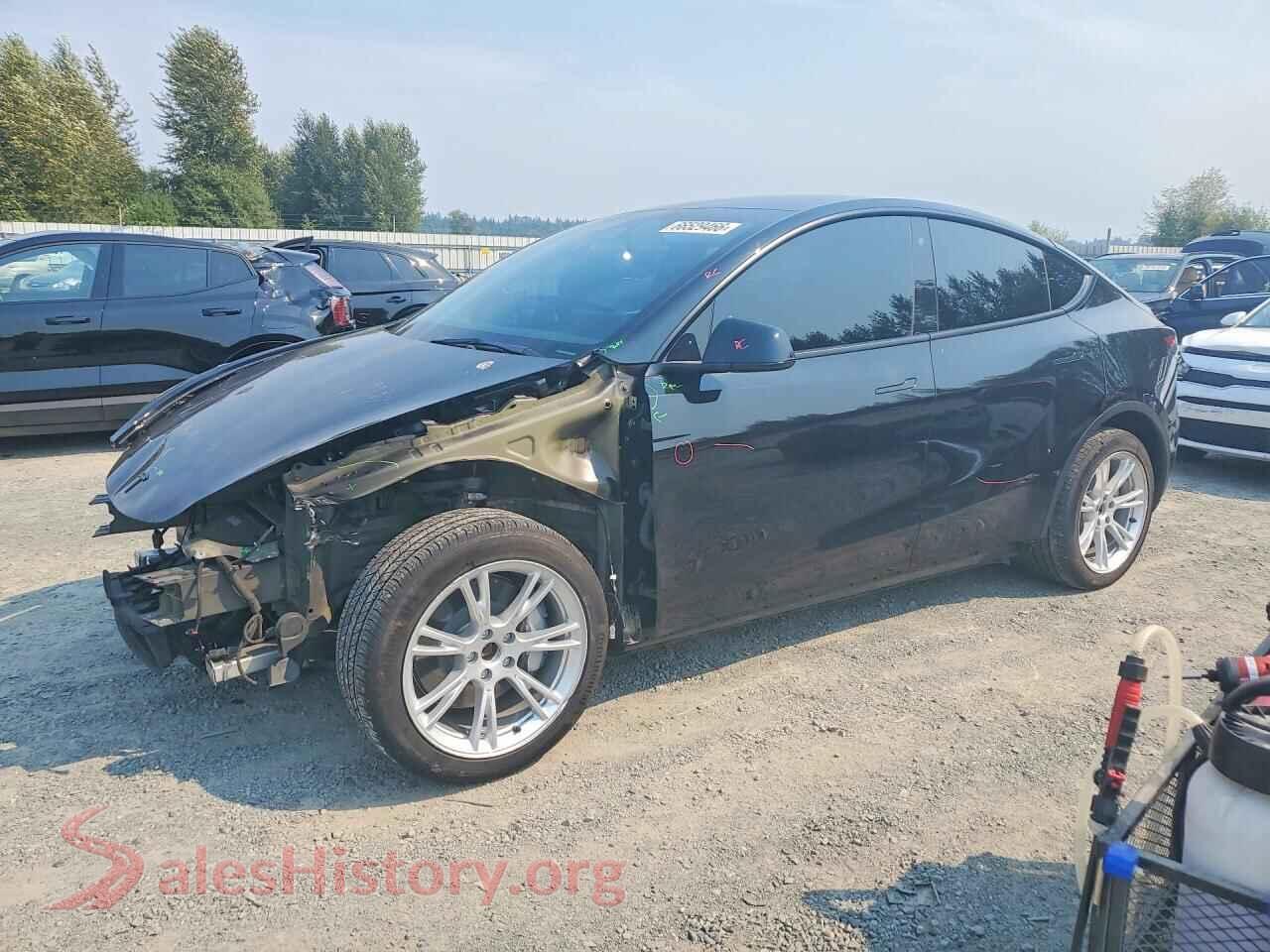 2023 TESLA MODEL Y — VIN 7SAYGDEE4PA056433