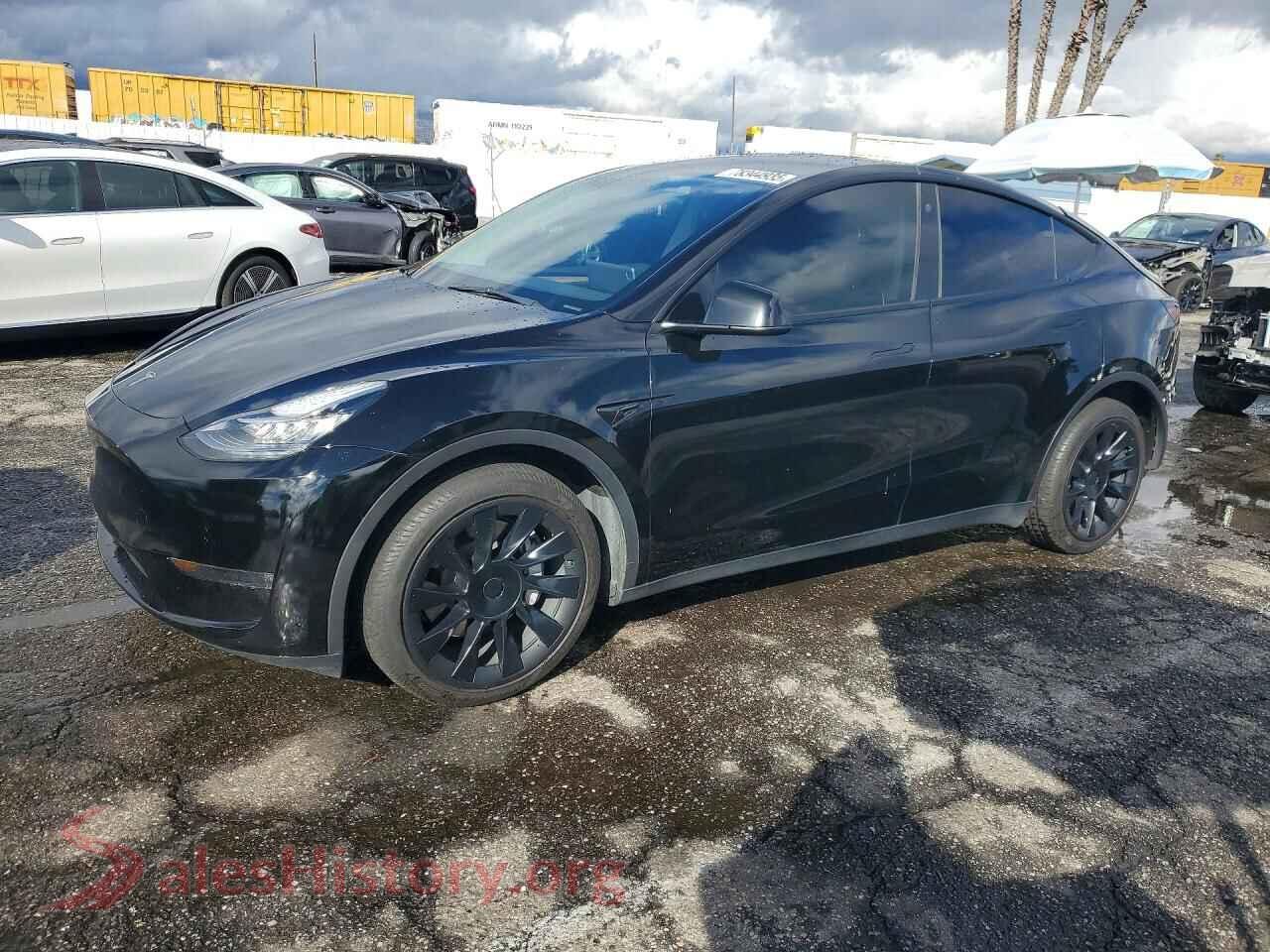2023 TESLA MODEL Y — VIN 7SAYGDEE5PA051323