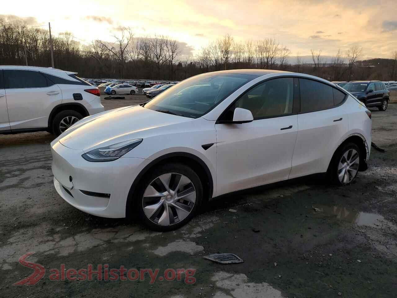 2023 TESLA MODEL Y — VIN 7SAYGDEE5PA110998