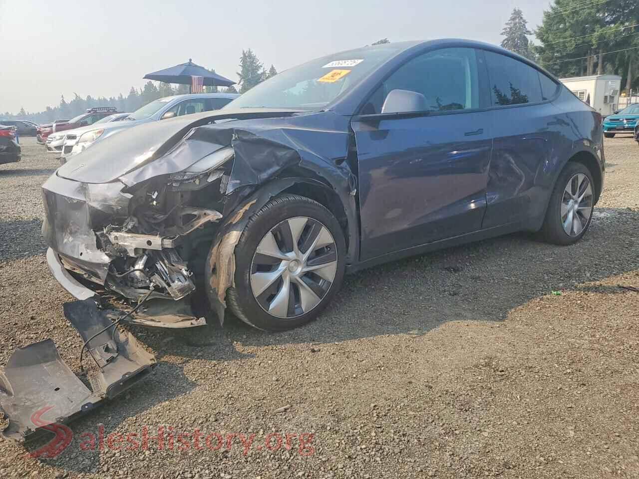 2023 TESLA MODEL Y — VIN 7SAYGDEE5PF584730