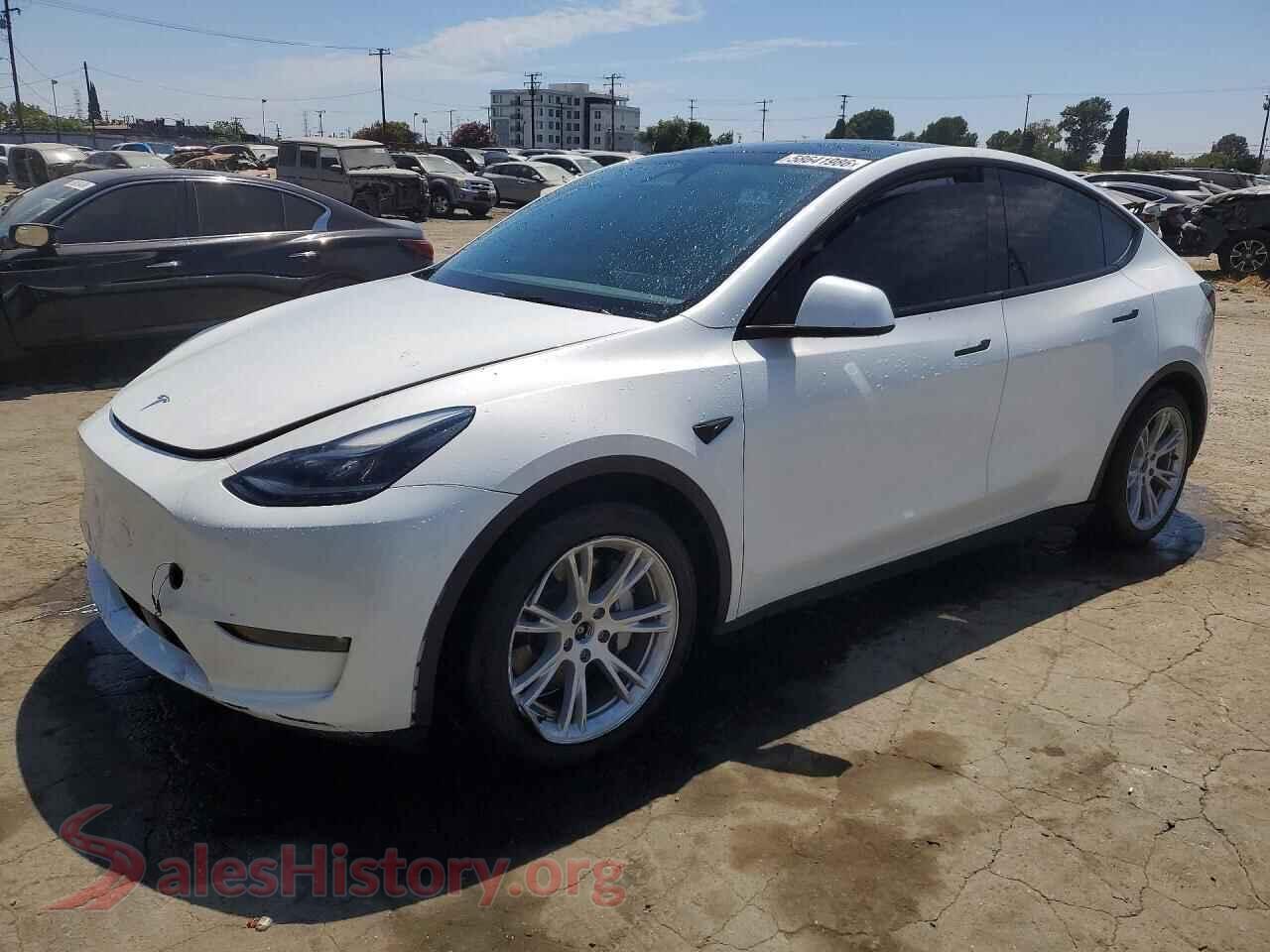 2024 TESLA MODEL Y — VIN 7SAYGDEE5RF081637
