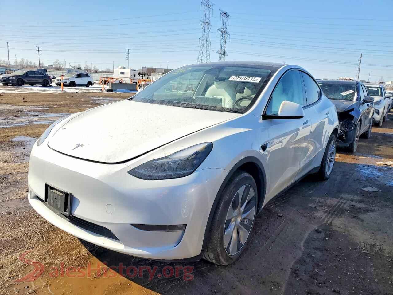 2023 TESLA MODEL Y — VIN 7SAYGDEE6PF801976